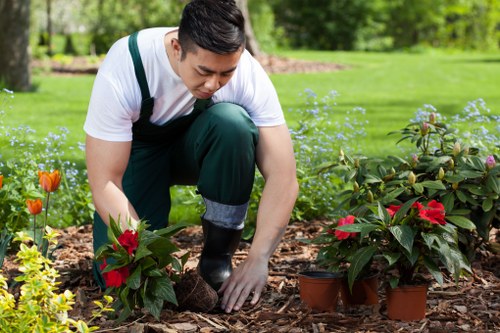Experienced tree service providers in Wanstead
