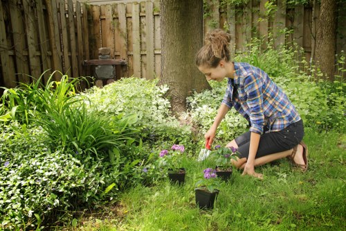 Gardening team discussing remedies near a landscaped border