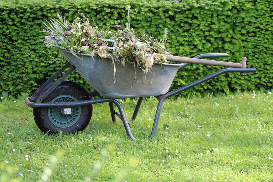A person trimming a dense, green shrub with a pair of blue pruning shears in a garden setting. The individual’s hands and forearms are visible, with one hand holding the pruning shears and the other