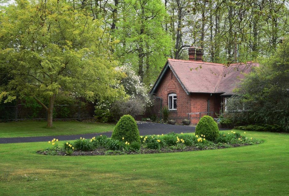 A well-maintained front garden in Snaresbrook with a lush, green lawn bordered by a flower bed filled with yellow tulips and neatly trimmed, rounded evergreen shrubs. Behind the flower bed, a curved p