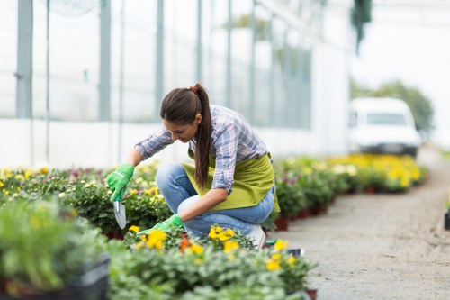 Professional gardeners maintaining a Wanstead garden