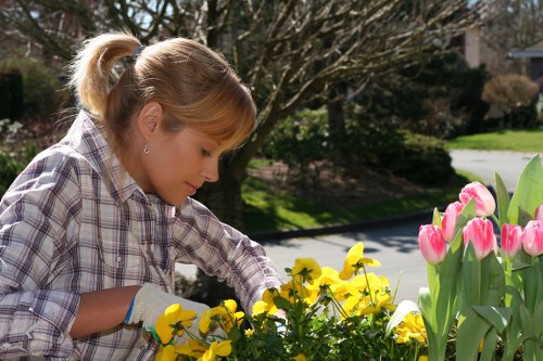Sustainable gardening practices by Wanstead gardeners
